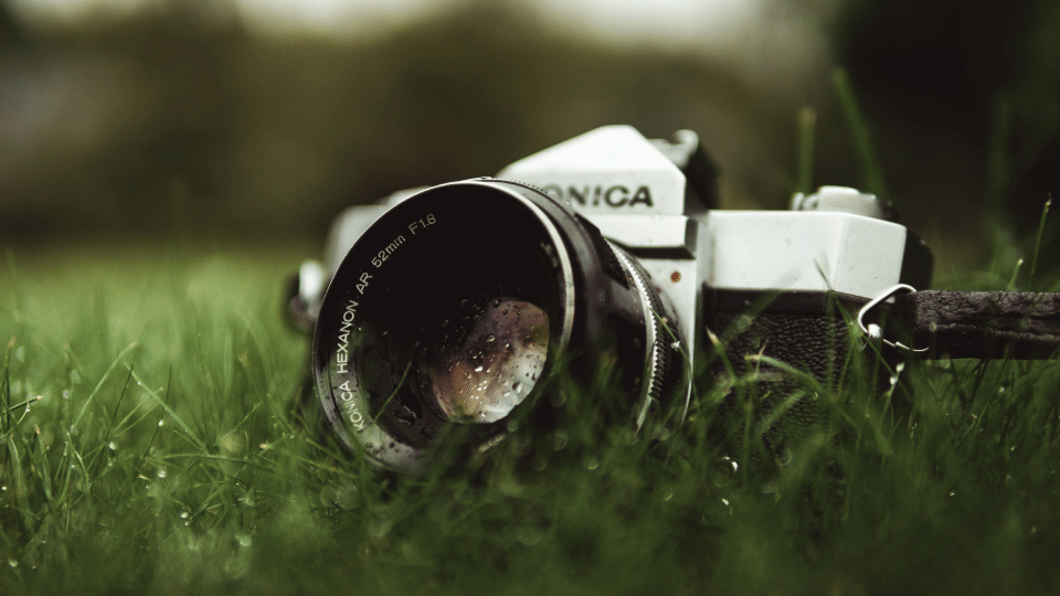 Building an interface between people and nature