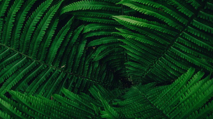 Inspirational Monday: Photographing Pairs in Nature