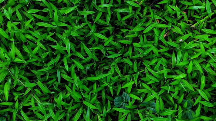 Building an interface between people and nature